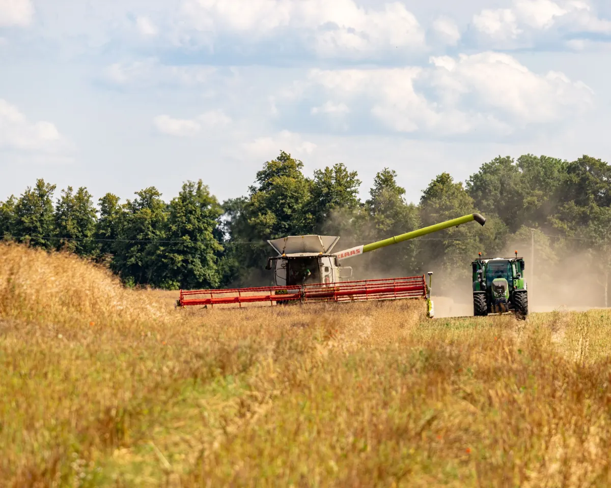 TERRAMARE_agriculture_Germany_SimonBB_1200 Combine harvester and tractor working in a German field during harvest.