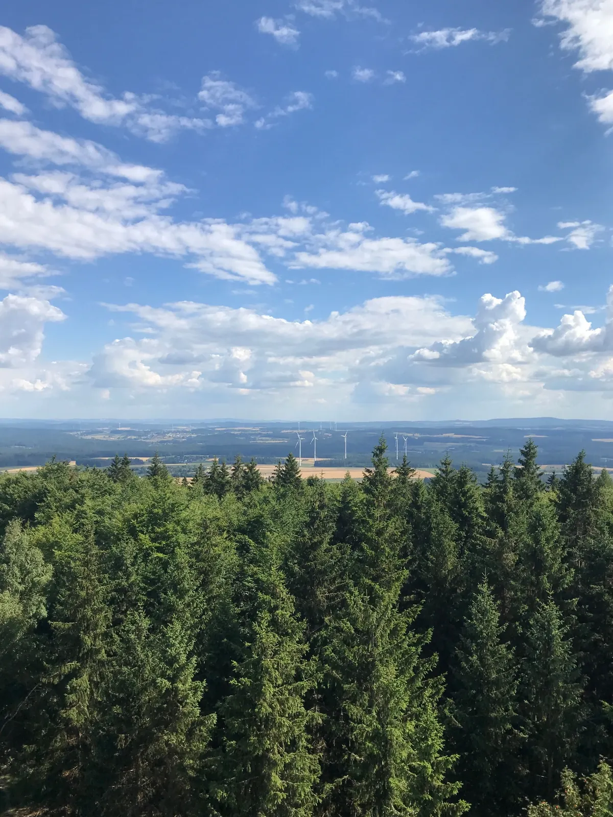 TERRAMARE_forest_wind_Nathanael_Schmer_1200 Aerial view of a forest with wind turbines in the background in Germany.